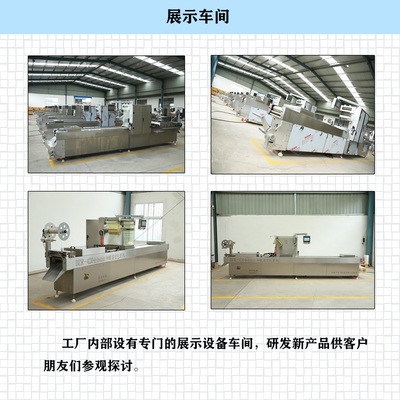 DZ-520光電器件 技術特性、應用領域與市場前景分析